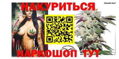СК Краснознаменск