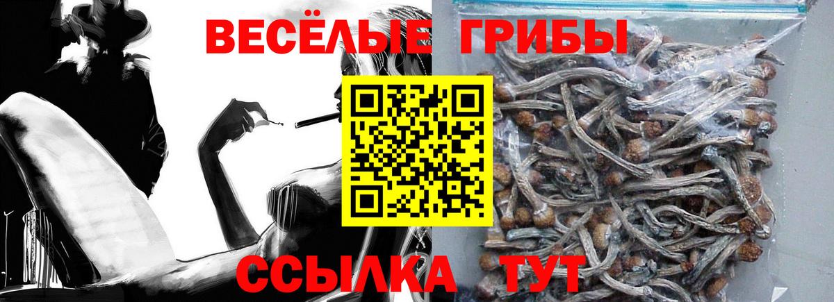 Галлюциногенные грибы Magic Shrooms  даркнет сайт  Псилоцибиновые грибы мухоморы  Камышин  Вход с VPN 